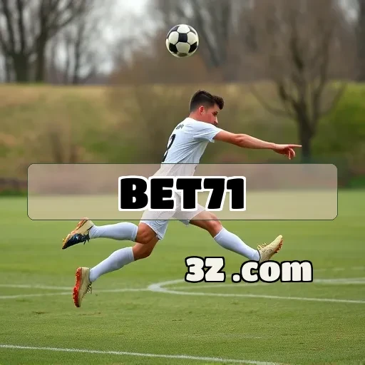 Atrações do Bingo no Bet71 que Você Não Pode Perder